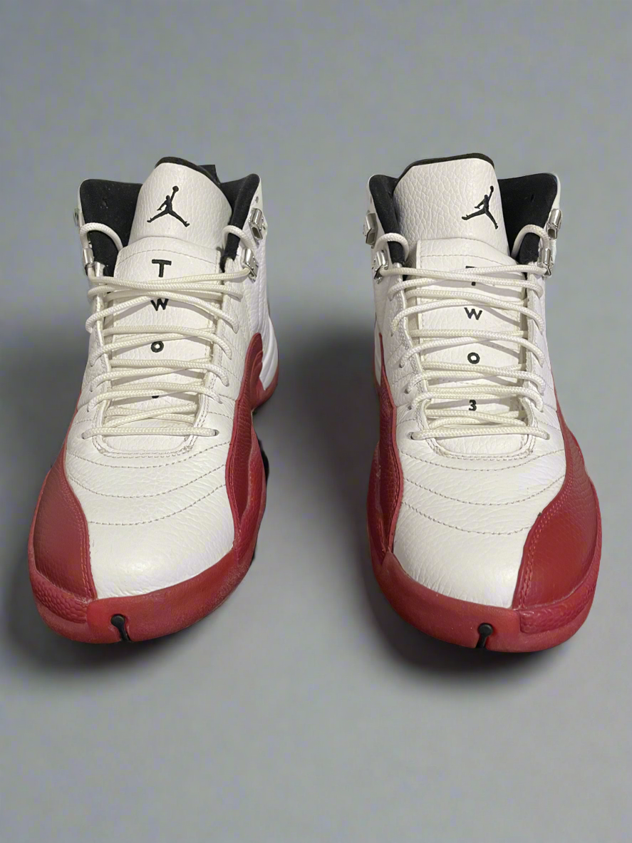 Jordan 12 cherry 2009 best sale